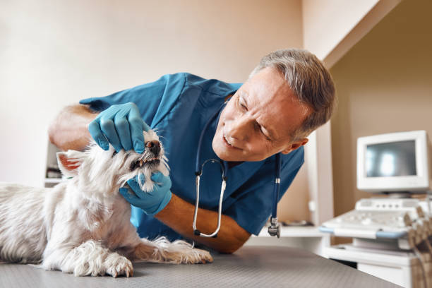Best Emergency Tooth Extraction in Green, OH