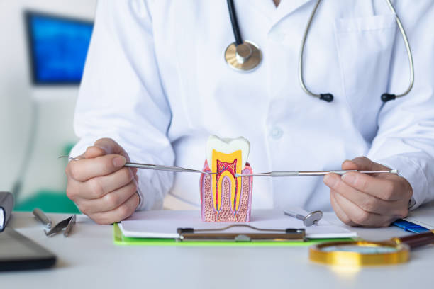 Best Emergency Dental Care for Broken or Chipped Teeth in Green, OH